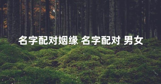 名字配对姻缘 名字配对 男女